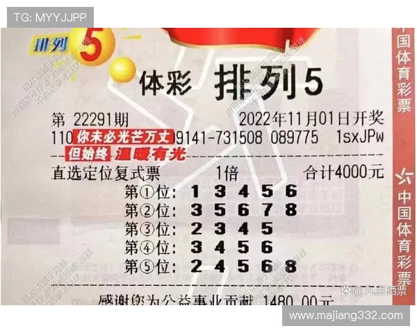 第291期模拟开奖结果预测与号码走势分析